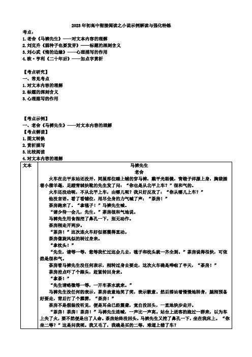 2023年初高中衔接阅读之小说示例解读与强化特练(2)