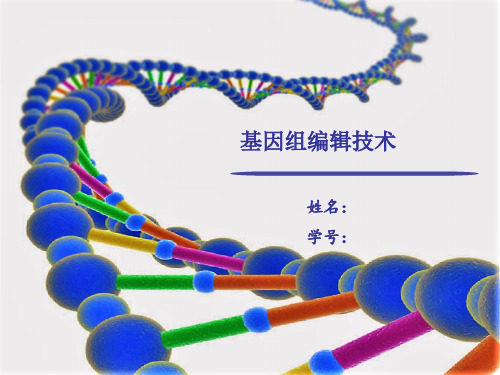 CRISPR基因编辑技术教程