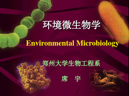 席宇《环境微生物学》13环境微生物学讲义