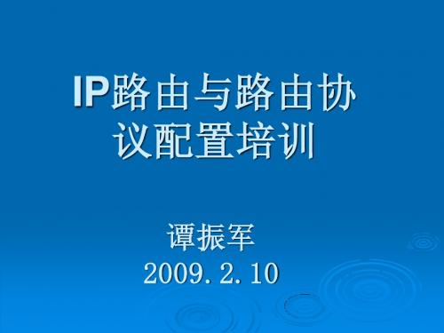 IP路由与路由协议配置培训