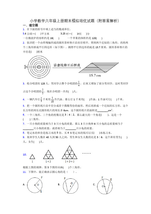 小学数学六年级上册期末模拟培优试题(附答案解析)