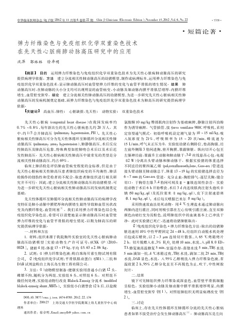 弹力纤维染色与免疫组织化学双重染_省略_天性心脏病肺动脉高压研究中的应用_沈萍