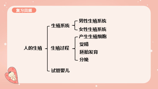 人教版七年级生物下册《青春期》课件