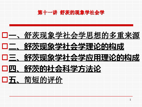 舒茨的现象学社会学和常人方法论ppt课件