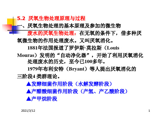 水处理微生物学(第十讲)PPT课件