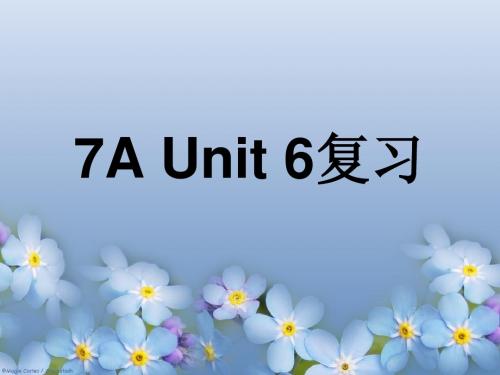 牛津7A_Unit6复习课件