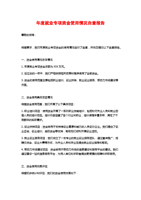 年度就业专项资金使用情况自查报告