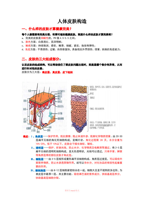 皮肤基础知识：皮肤构造