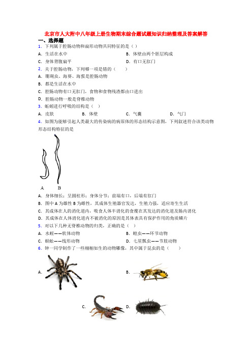 北京市人大附中八年级上册生物期末综合题试题知识归纳整理及答案解答