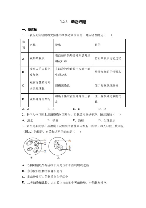 生物人教版(2024)版七年级上册1.2.3 动物细胞 课时练 含答案01