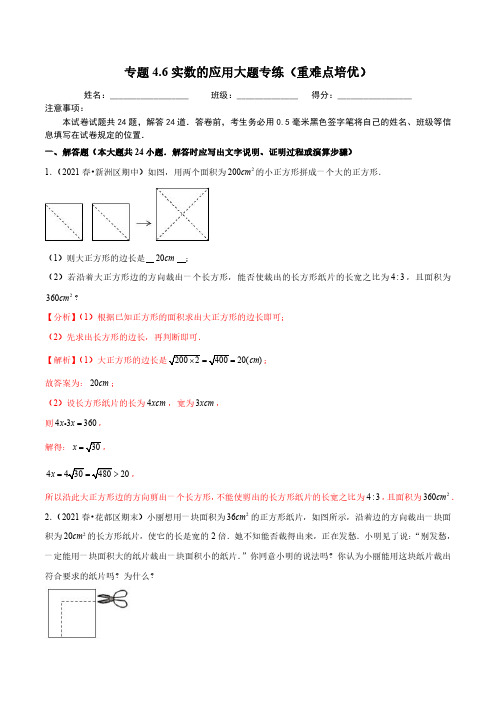 专题4.6实数的应用大题专练(重难点培优)(解析版)【苏科版】