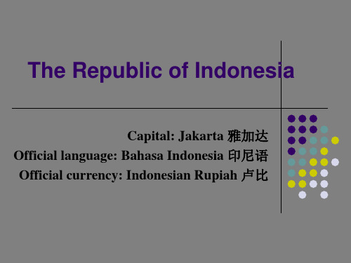 Indonesia印度尼西亚旅游全英文PPT