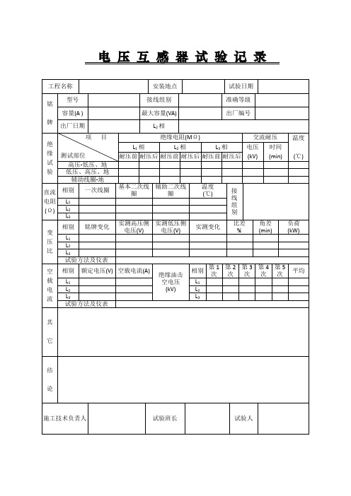 电 压 互 感 器 试 验 记 录  