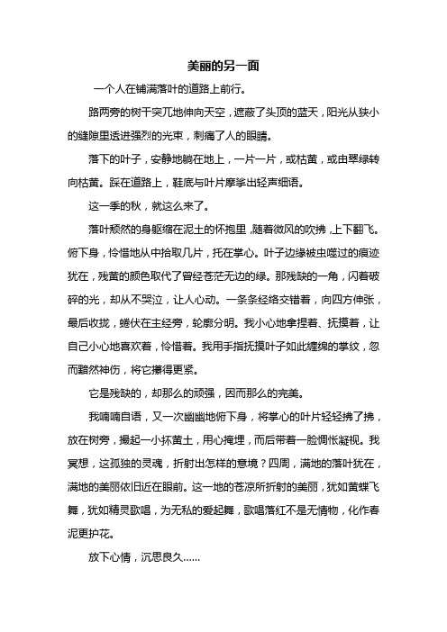 初三作文：美丽的另一面作文700字