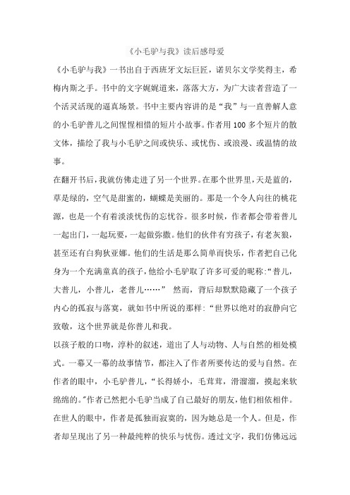 《小毛驴与我》读后感母爱