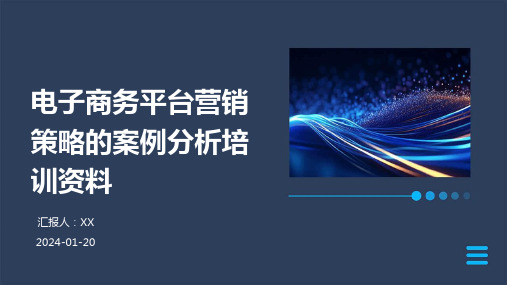 电子商务平台营销策略的案例分析培训资料