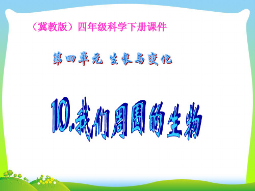 10冀教版小学四年级下册科学《周围的生物PPT课件》教学