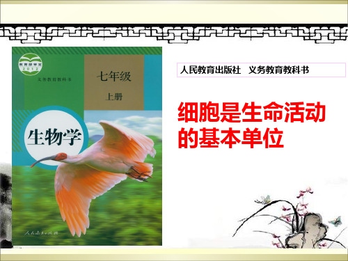 人教版七年级生物上册《细胞是生命活动的基本单位》 说教材课件(共65张PPT)