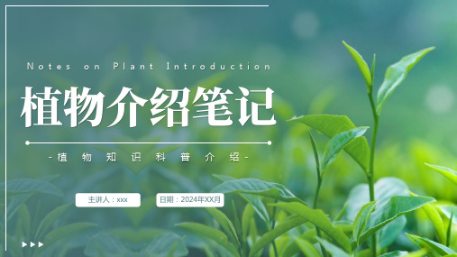 植物介绍笔记PPT