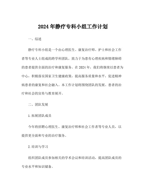 2024年静疗专科小组工作计划