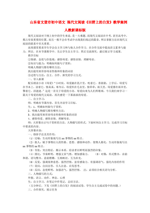 山东省文登市初中语文 现代文阅读《田野上的白发》教学案例 人教新课标版