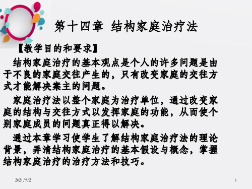 个案社会工作第十四章  结构家庭治疗法