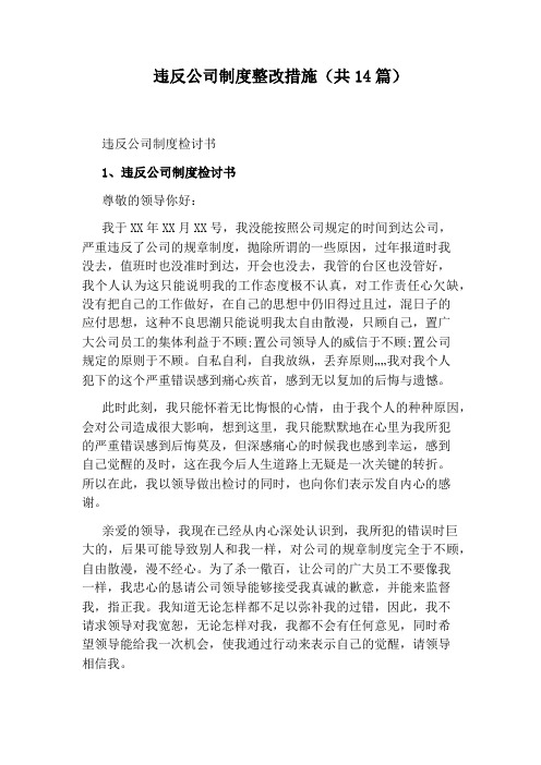 违反公司制度整改措施(共14篇)