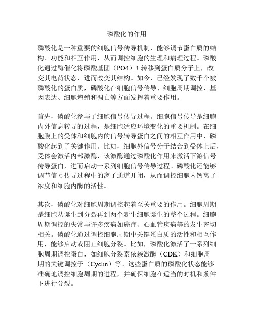 磷酸化的作用