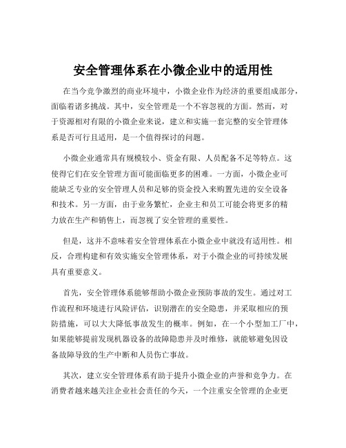 安全管理体系在小微企业中的适用性