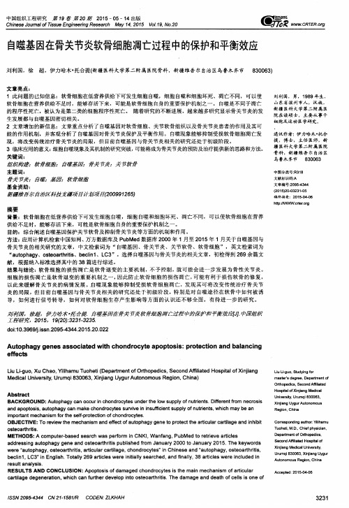 自噬基因在骨关节炎软骨细胞凋亡过程中的保护和平衡效应