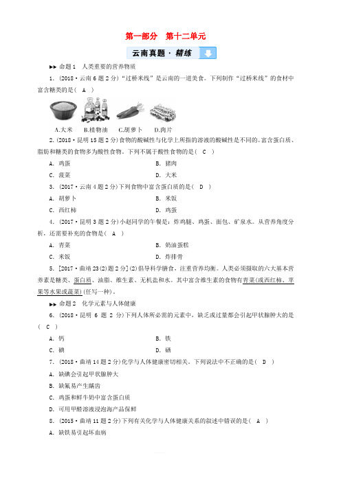 云南专用版2019版中考化学第1部分教材同步复习第12单元化学与生活真题精练