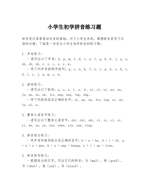 小学生初学拼音练习题