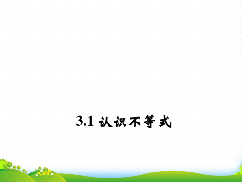 浙教版八年级数学上册《认识不等式》课件)(共11张PPT)