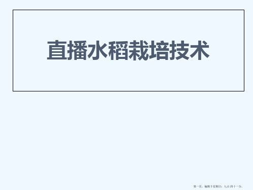 直播水稻栽培技术资料