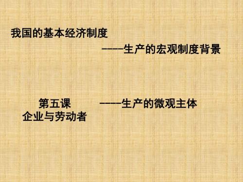 山东省牟平第一中学高三政治一轮复习 第5、6课复习名师课件 新人教版必修1