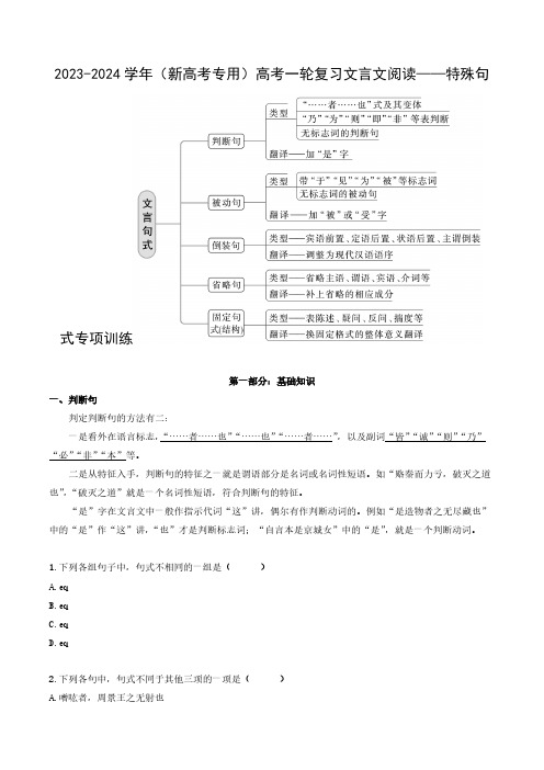 2023-2024学年(新高考专用)高考一轮复习文言文阅读——特殊句式专项练习(含解析)