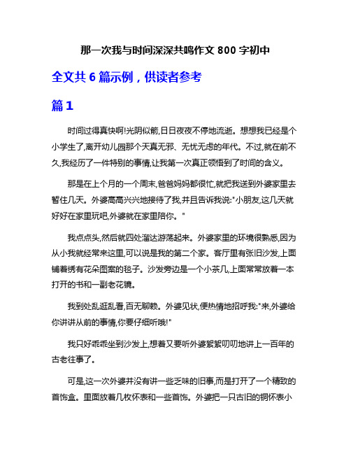 那一次我与时间深深共鸣作文800字初中