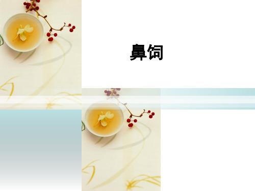 演讲稿鼻饲.ppt
