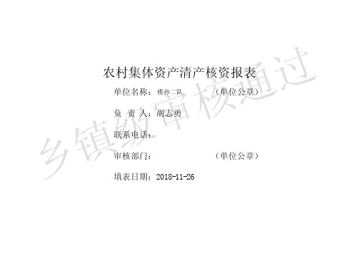 农村集体资产清产核资报表.pdf