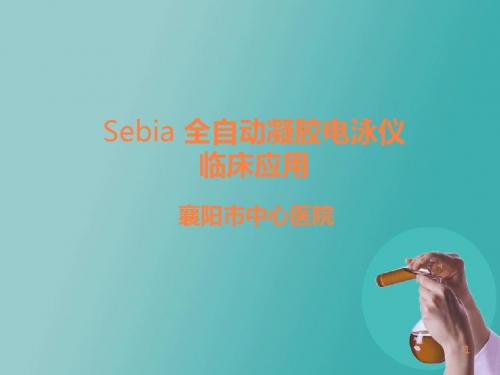 Sebia-全自动凝胶电泳仪的临床应用ppt课件