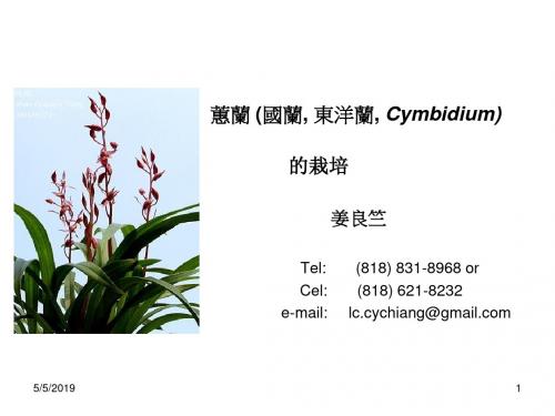 兰属植物Cymbidium的栽培及其历史