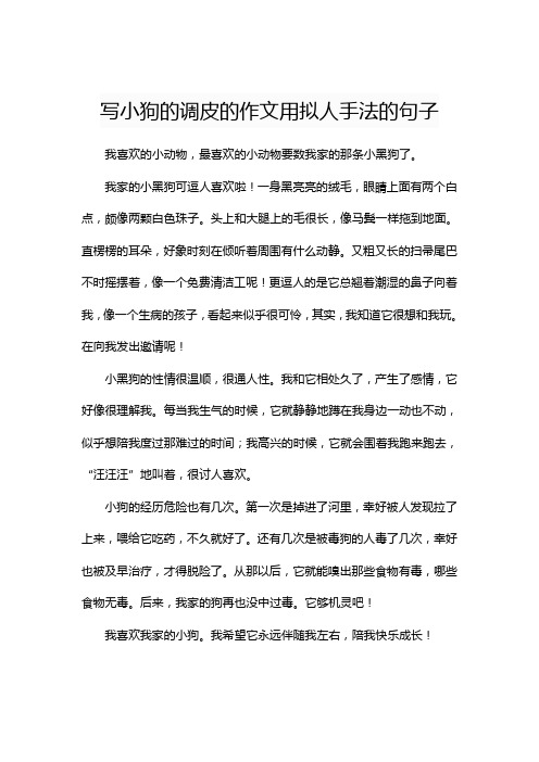 写小狗的调皮的作文用拟人手法的句子