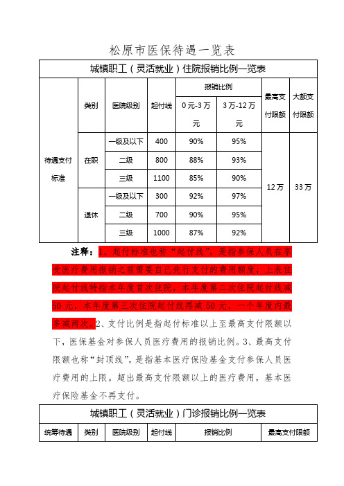 2024松原市医保待遇一览表