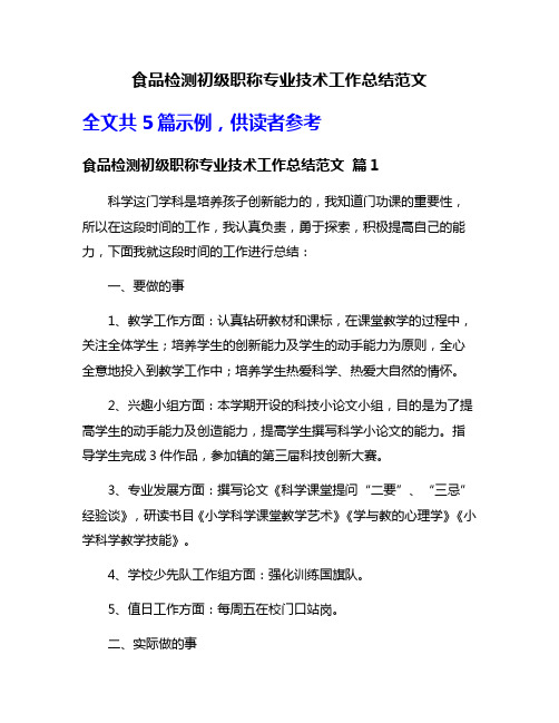 食品检测初级职称专业技术工作总结范文