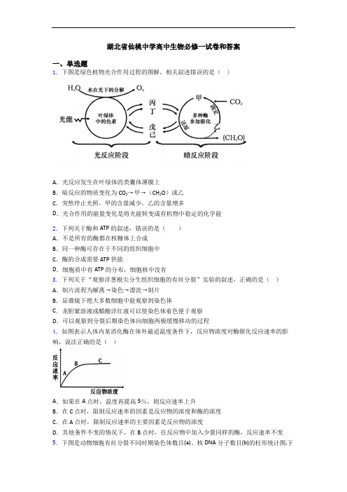 湖北省仙桃中学高中生物必修一试卷和答案