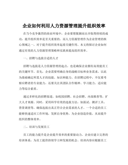 企业如何利用人力资源管理提升组织效率