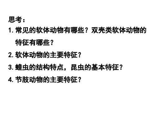 5.1.3软体动物与节肢动物课件-广东省河源市和丰中学人教版八年级生物上册