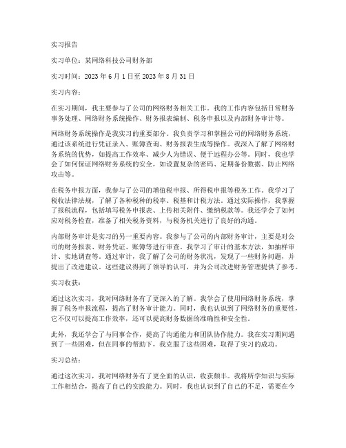 网络财务实习报告