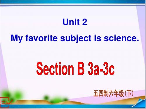 新鲁教版(五四制)六年级英语下册 Unit 2 Section B-3 课件