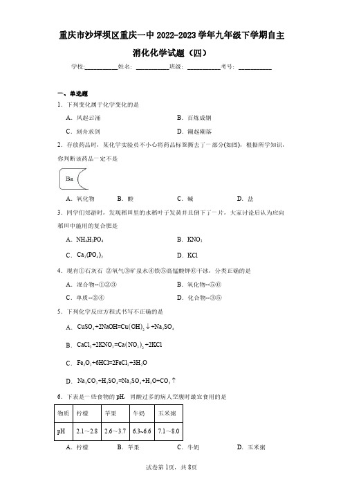 重庆市沙坪坝区重庆一中2022-2023学年九年级下学期自主消化化学试题(四)(含答案解析)